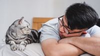 Cat and man lying on a bed looking at each other