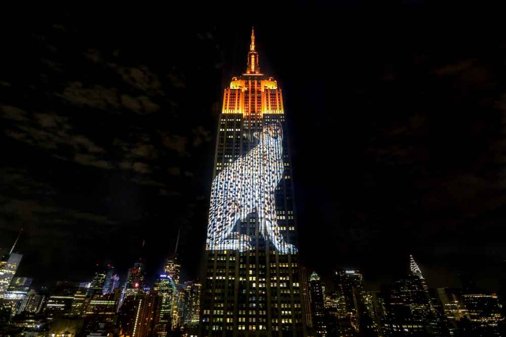 Christie Maps Endangered Animals onto Empire State Building