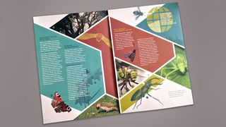 This brochure about biodiversity in the Royal Parks demonstrates how photography can help give a design real wow factor