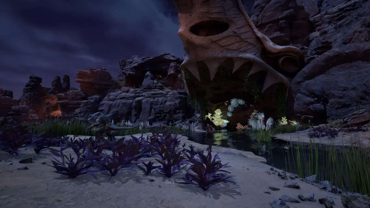 nighttime beach in avowed