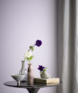 Lilac painted wall with soft lilac curtain black side table with singular flower
