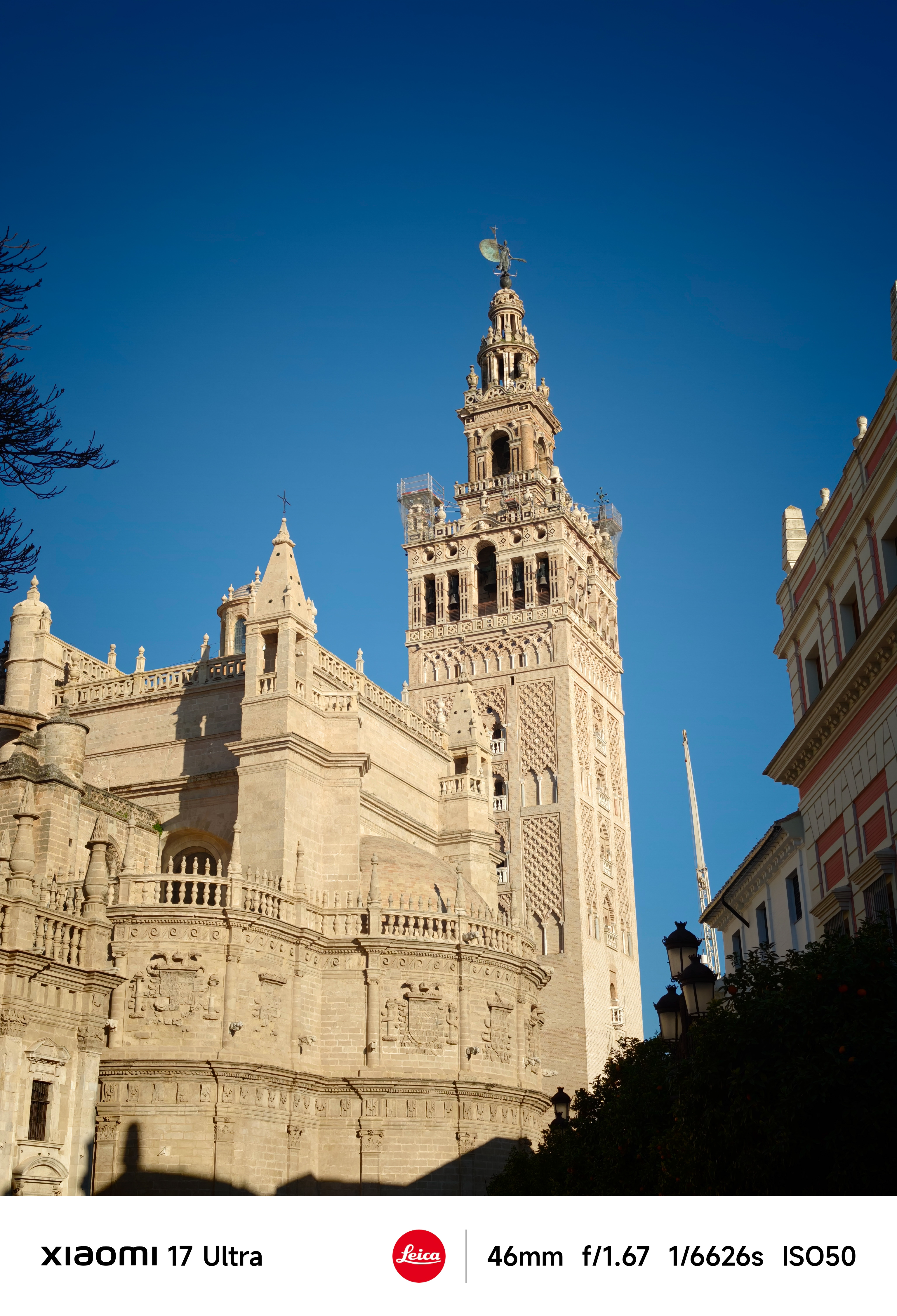 Wider view of Seville Cathedral and the Giralda tower bathed in warm sunlight, framed by surrounding buildings.