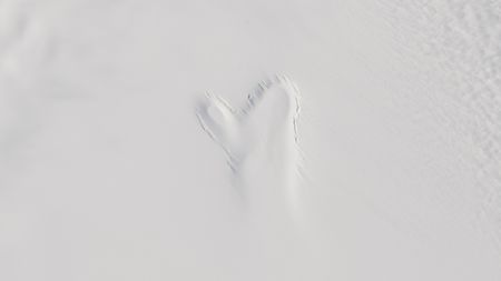 A ghostly blob-like figure in the ice when viewed from space