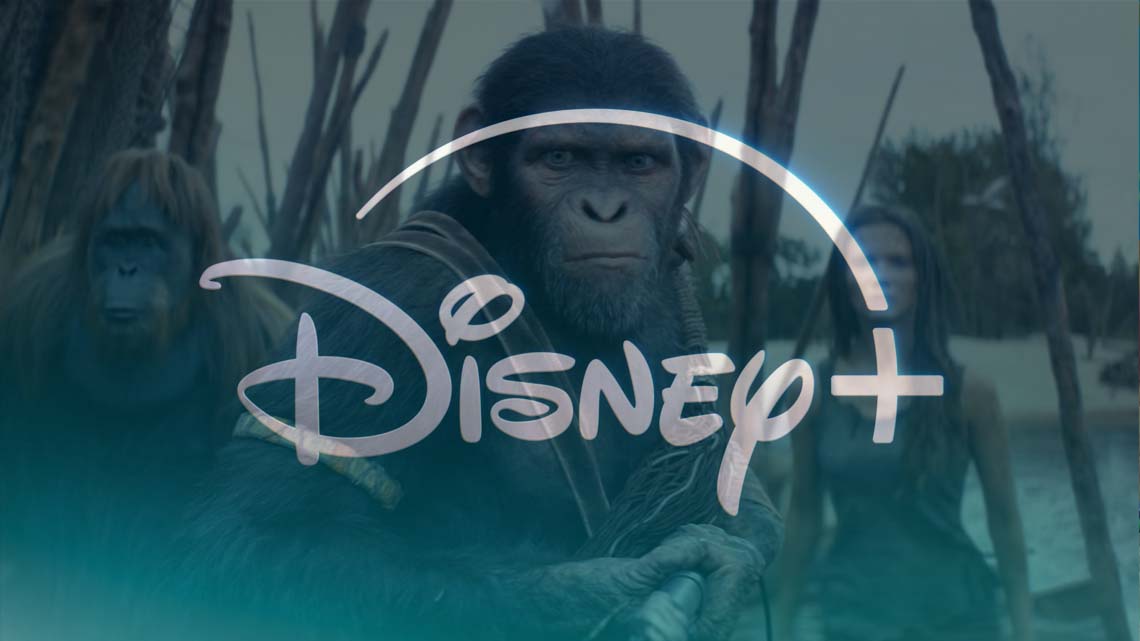Disney Plus’s number one movie is one of the biggest hits of the year