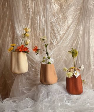 Amanitas Garden | Wide Vase | Shell