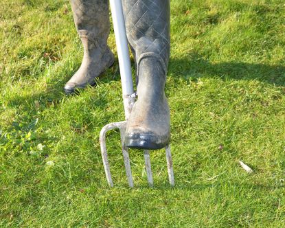 How to get rid of dandelions in a lawn: weed control tips | Gardeningetc