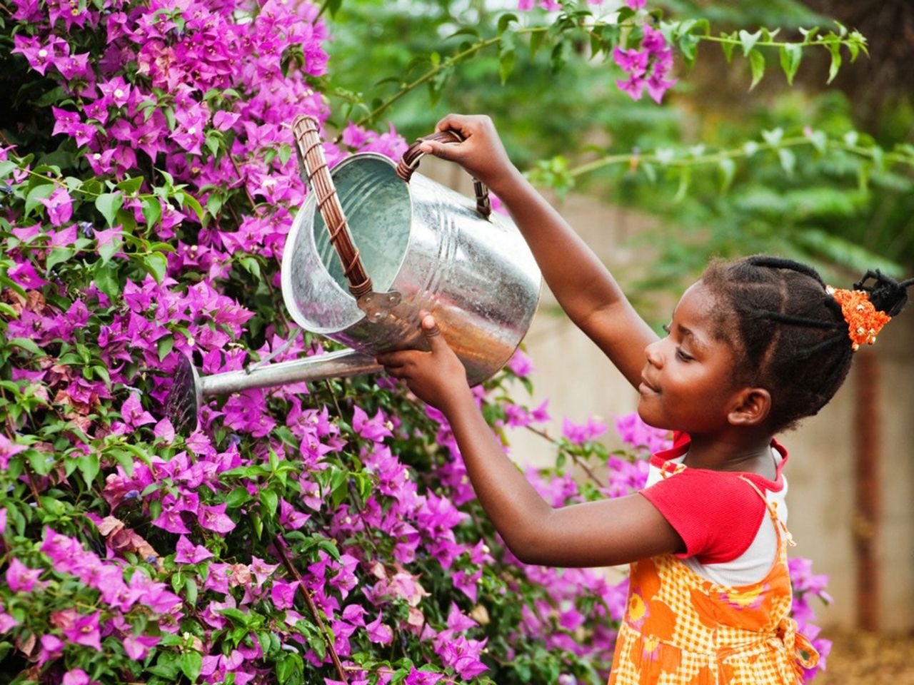 Child Watering Flowers With A Watering Can