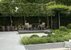 garden dining area surrounded by pleached trees
