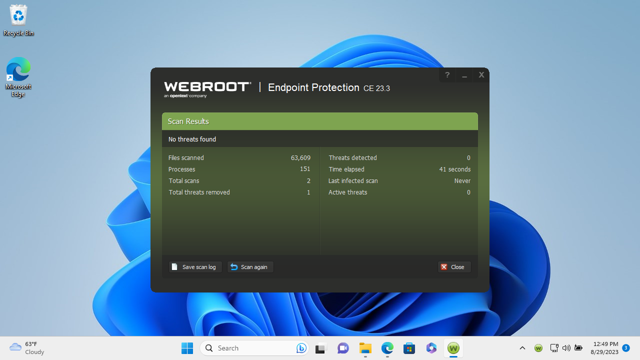 Webroot Business Endpoint Protection performance