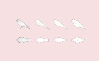 The evolution of AirBird