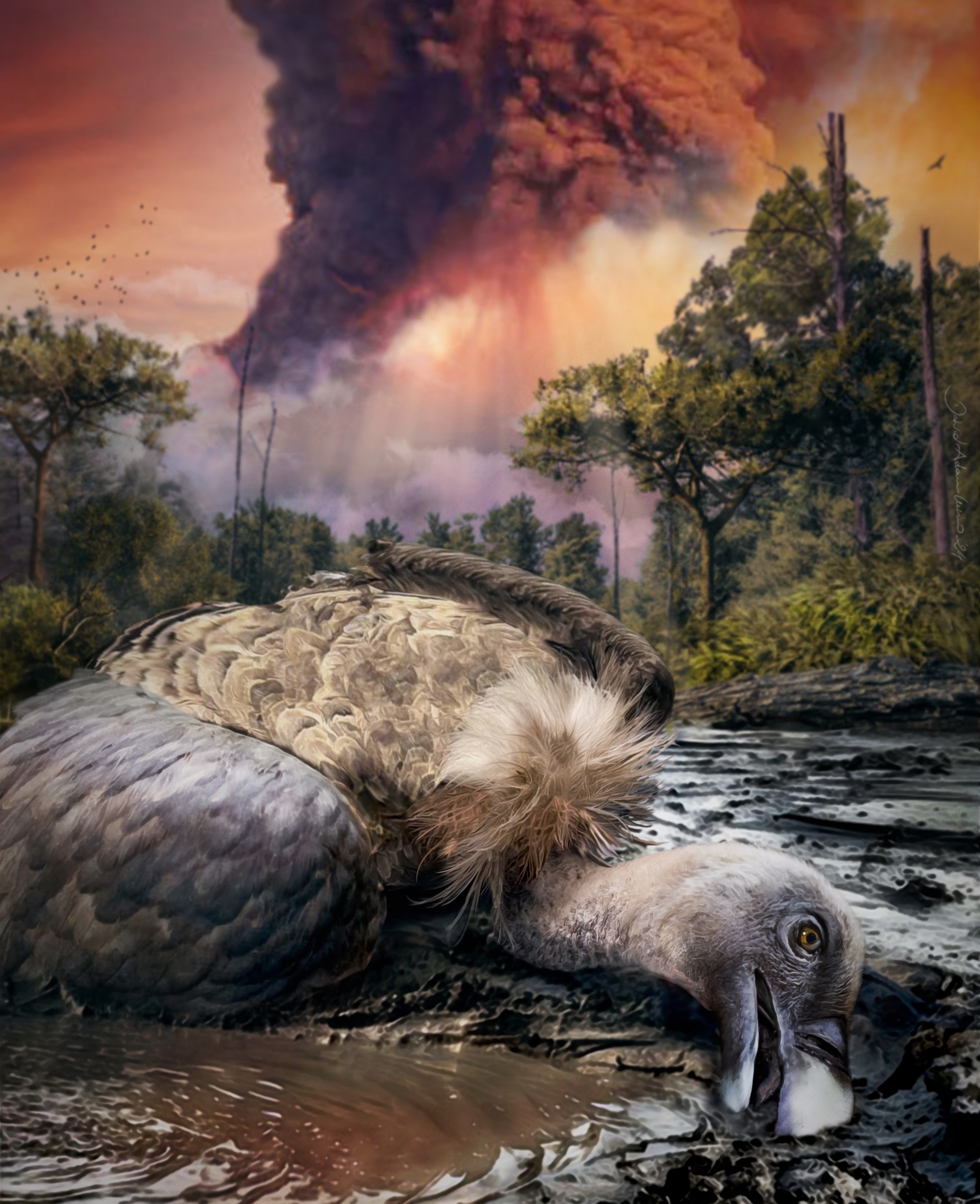 an illustration of a vulture dying as a volcano explodes in the background