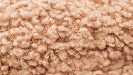 Closeup of sheep's wool