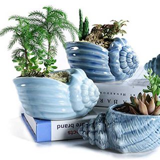 shell plant pots from Amazon