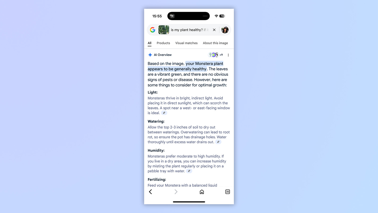 a screenshot from google gemini ai showing how to ask if a plant is healthy