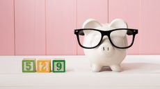 Blocks that say 529 are arranged next to a piggy bank wearing glasses.