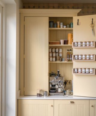 yellow pantry cupboard appliance garage painted in farrow and ball hay