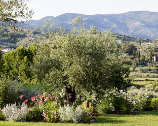 Tuscan garden