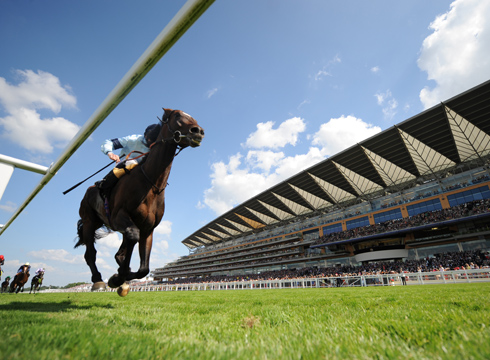 Royal Ascot 2014: Saturday 21 June