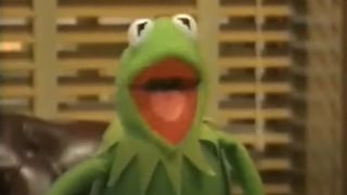 Kermit the Frog in Muppets Tonight