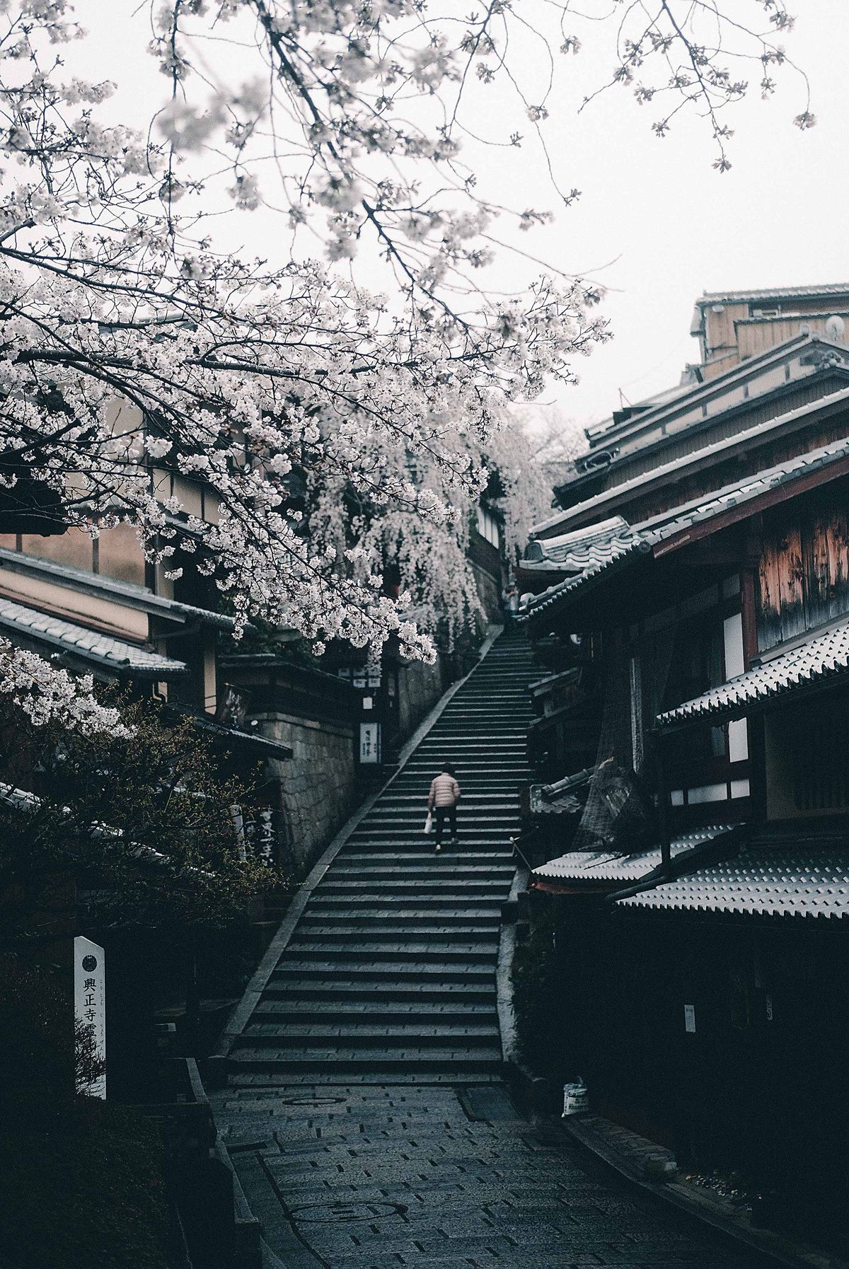 Taro Moberly - In Kyoto