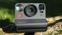 En Polaroid Now-kamera på en trädgren