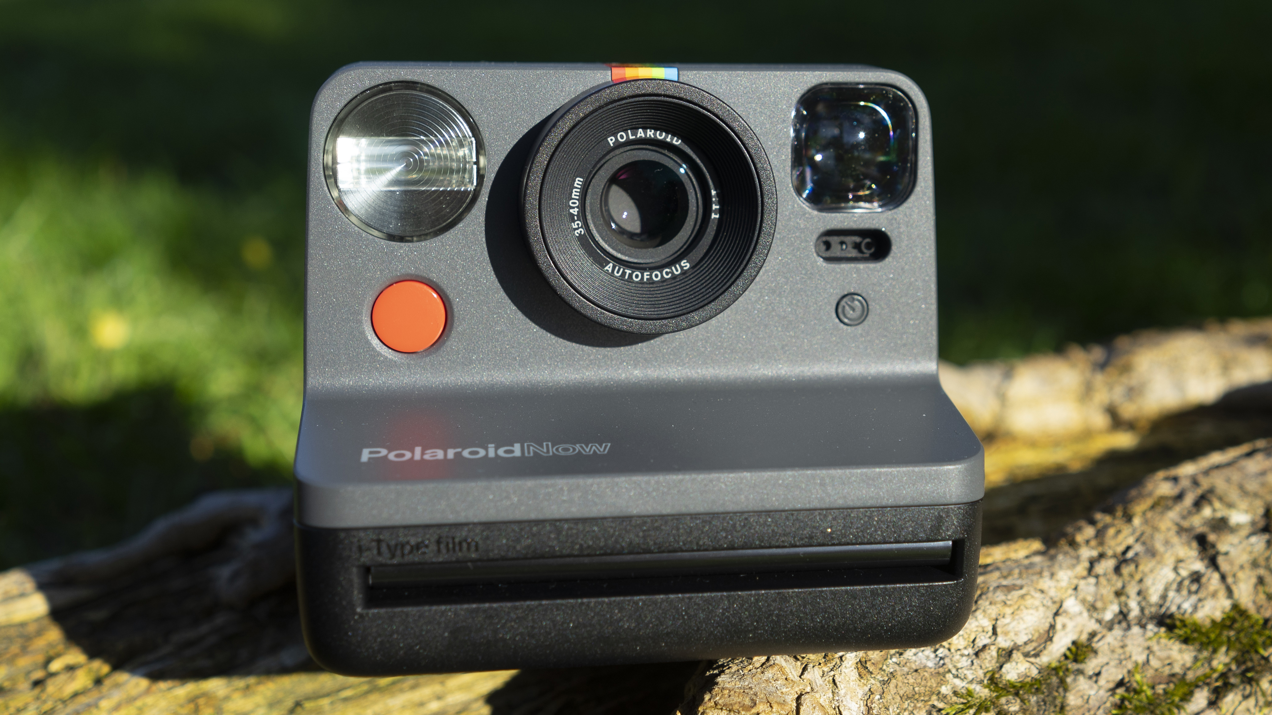 A Polaroid Now instant camera placed on a tree branch