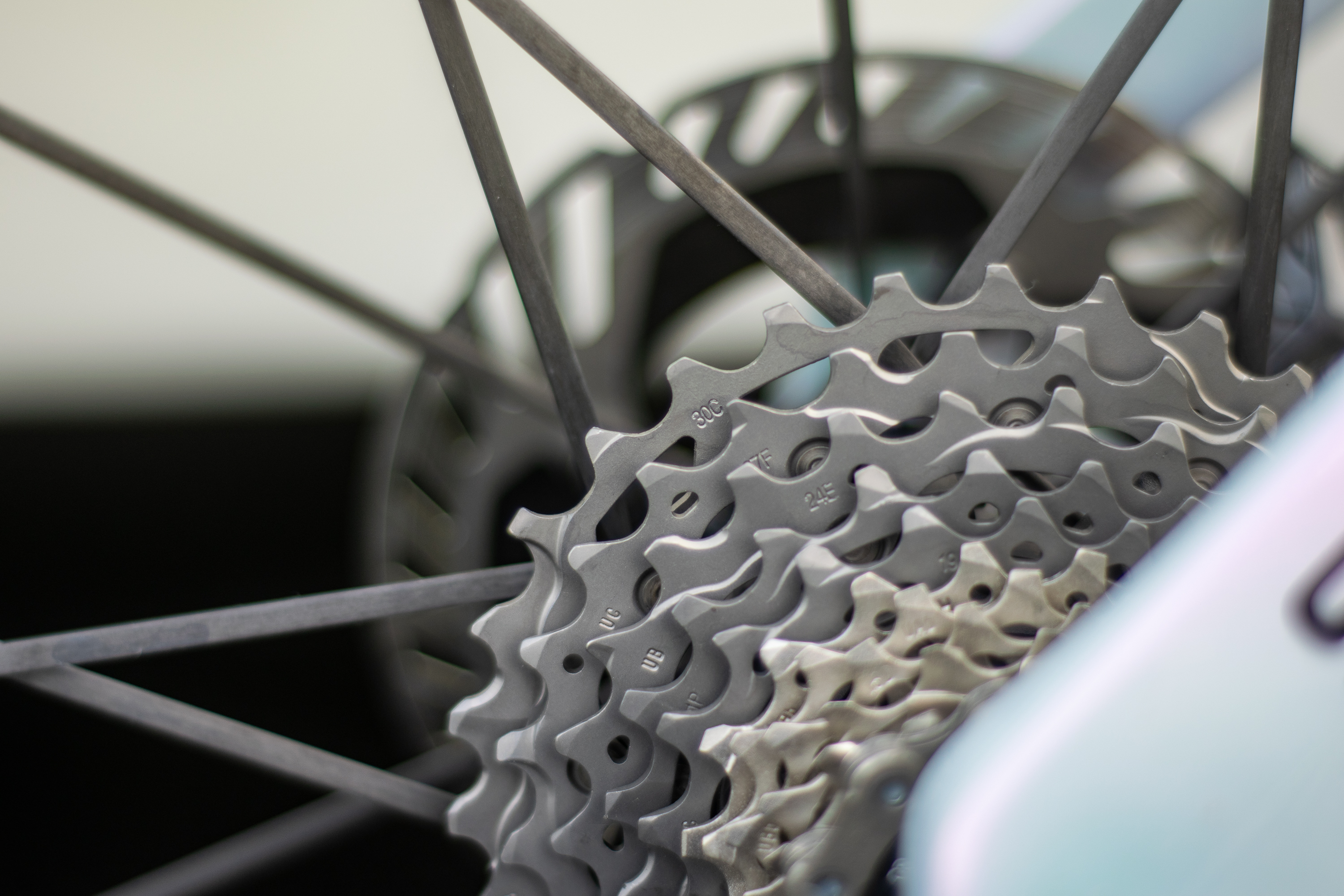 Cañón París-Roubaix Endurace CFR por Jasper Philipsen