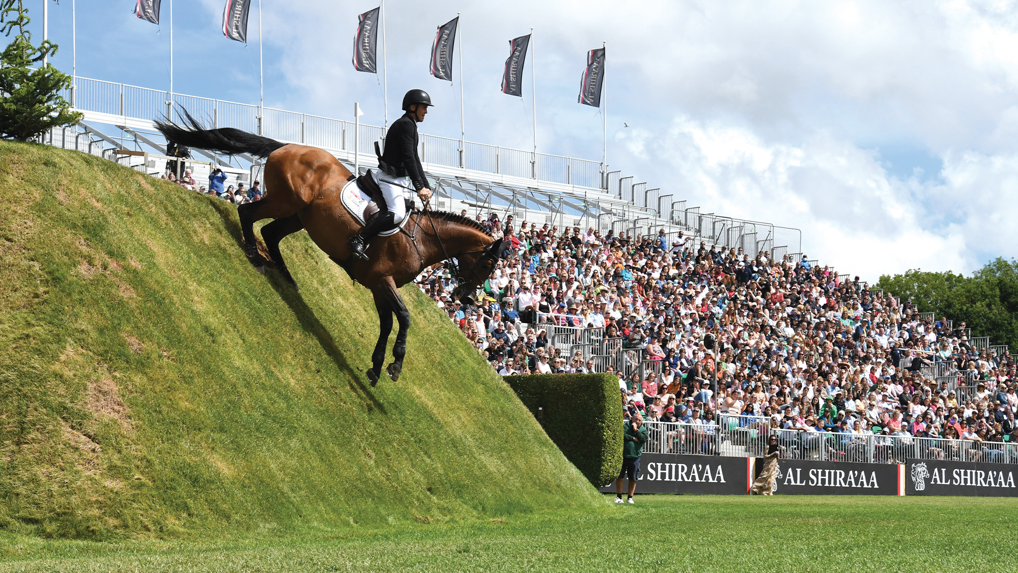 Horse jumping down the Derby Bank