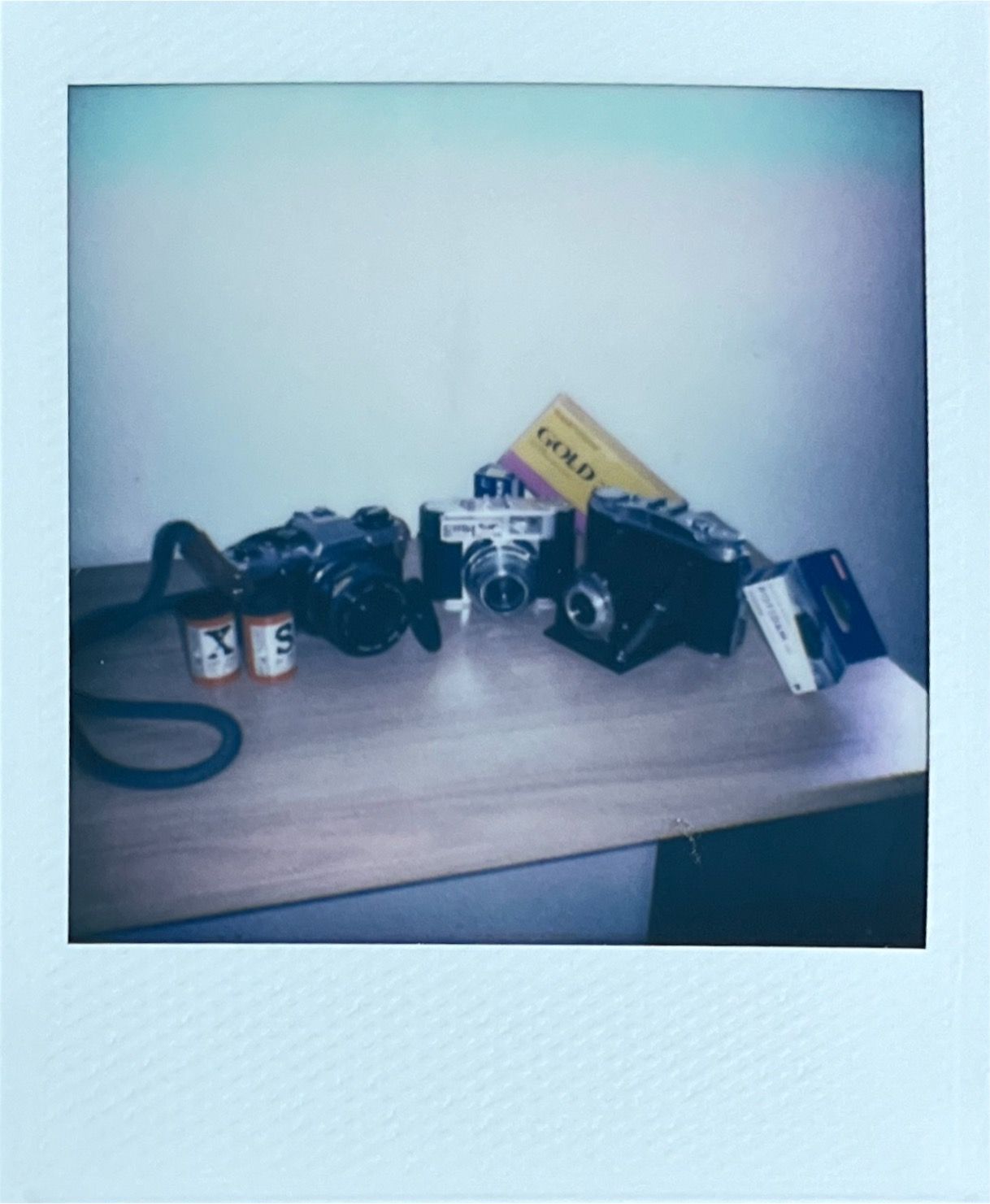 Images captured on the Polaroid Go (Gen 2) by T3's Sam Cross, and scanned using the Polaroid app