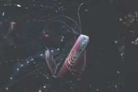 A translucent ribbonfish with a shimmering pink and blue body swims upwards against a black background, trailing long, fine filaments from its fins as glowing salps drift around it.