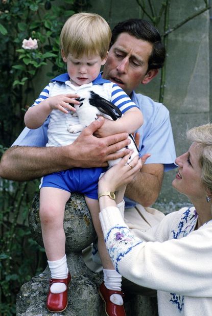 Prince Harry is not Prince Charles' son. 