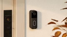 Blink Video Doorbell on cream wall next to beige door with black lock, with blurry leaves pictured to the right.