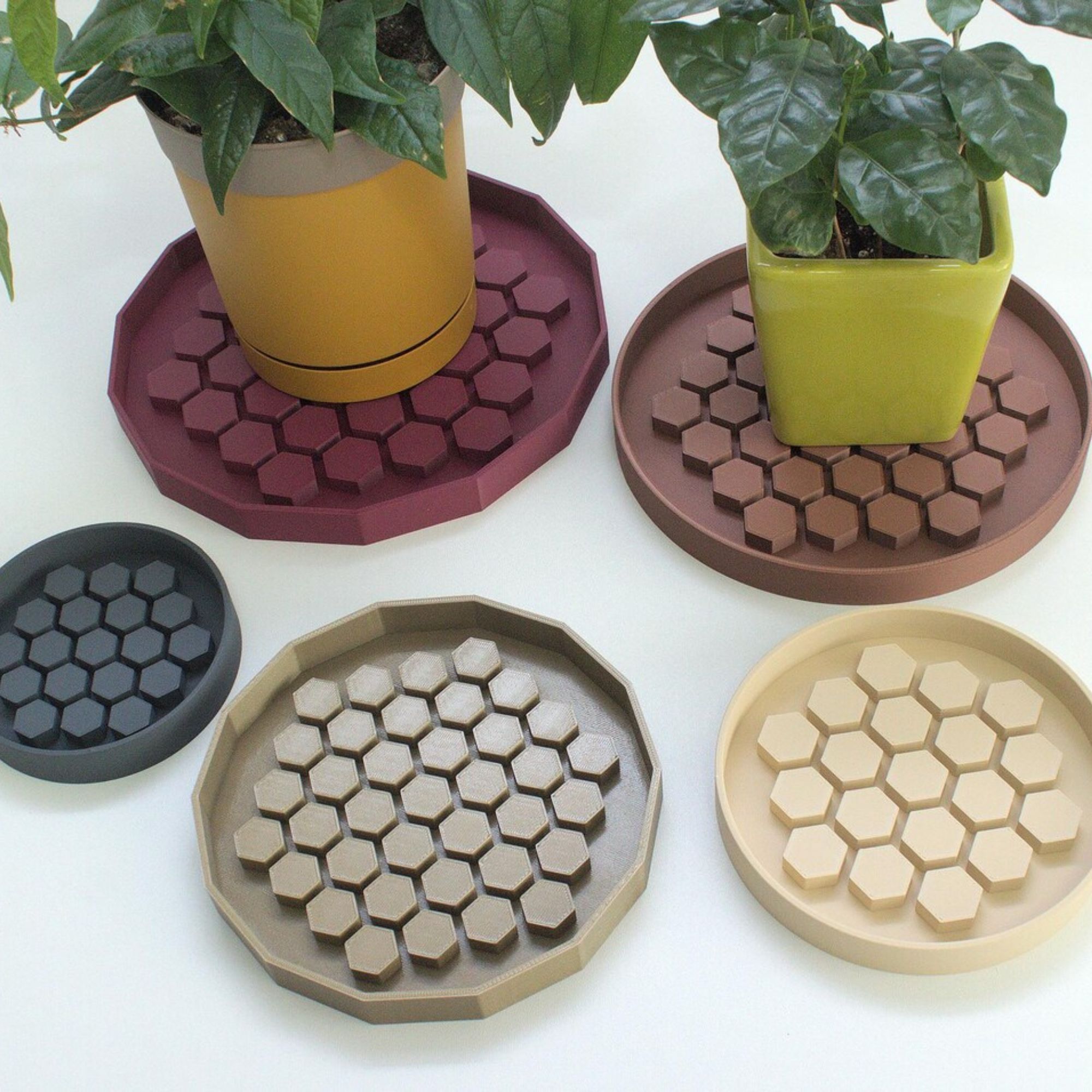 Plant humidity tray Etsy