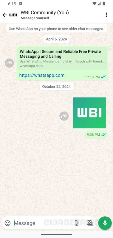 WhatsApp media shortcut button