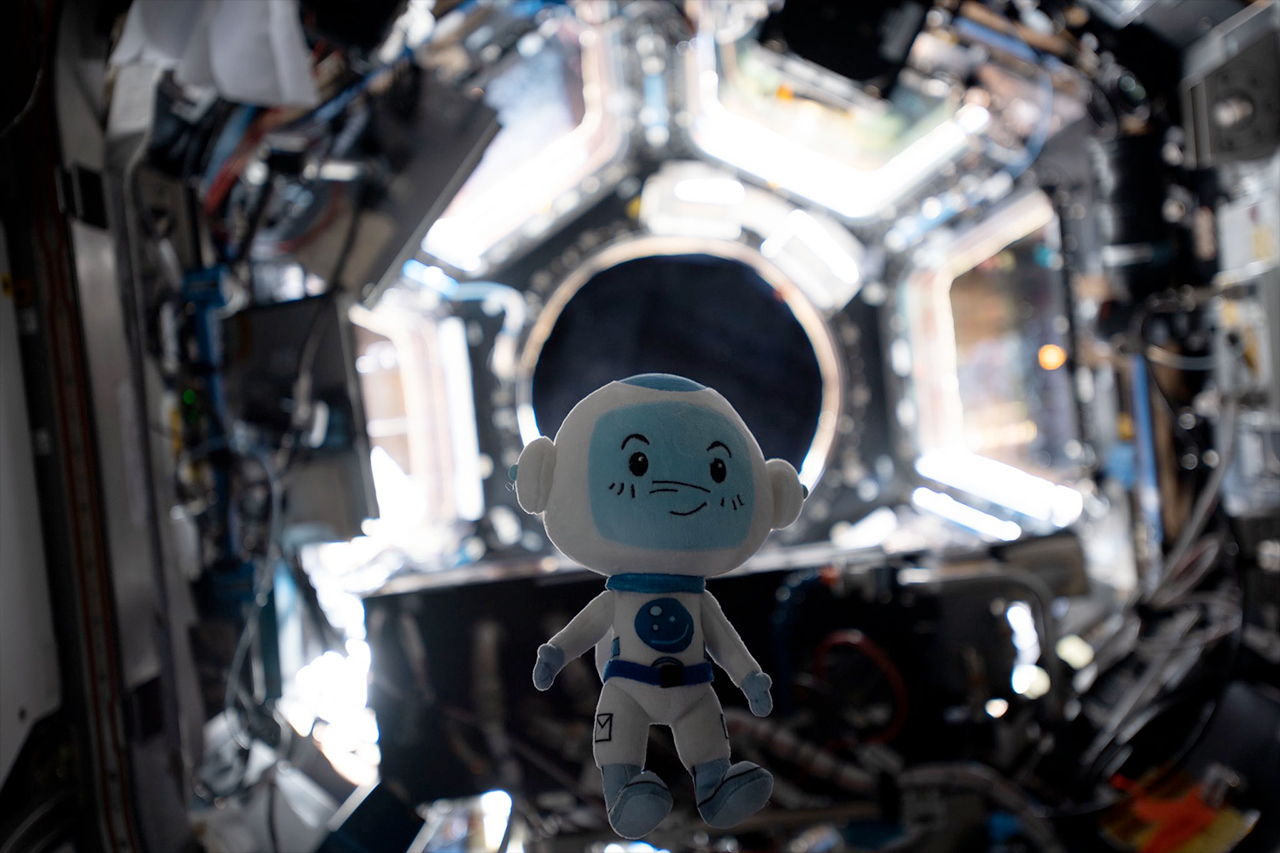 a cartoon astronaut in stuffed toy form floating in front of the camera. far behind is the cupola of the international space station