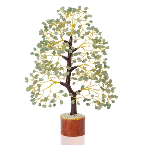 Amazon jade tree gift