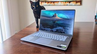 Dell Inspiron 16 Plus 7640 next to cat.