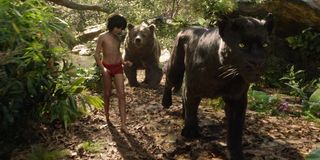 Mowgli (Neel Sethi), Bagheera (Ben Kingsley), and Baloo (Bill Murray) in The Jungle Book