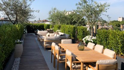 long garden ideas: long roof terrace