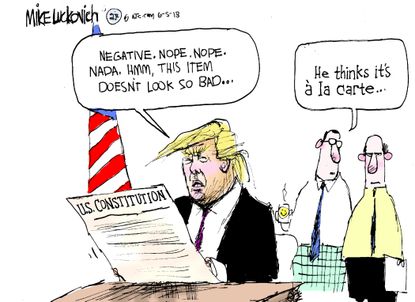 Political Cartoon U.S. Trump Constitution pardon powers