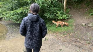 Back view of hiker wearing puffer and watching dog