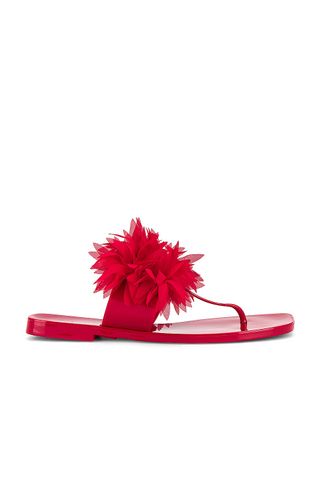 Pollinate Sandal