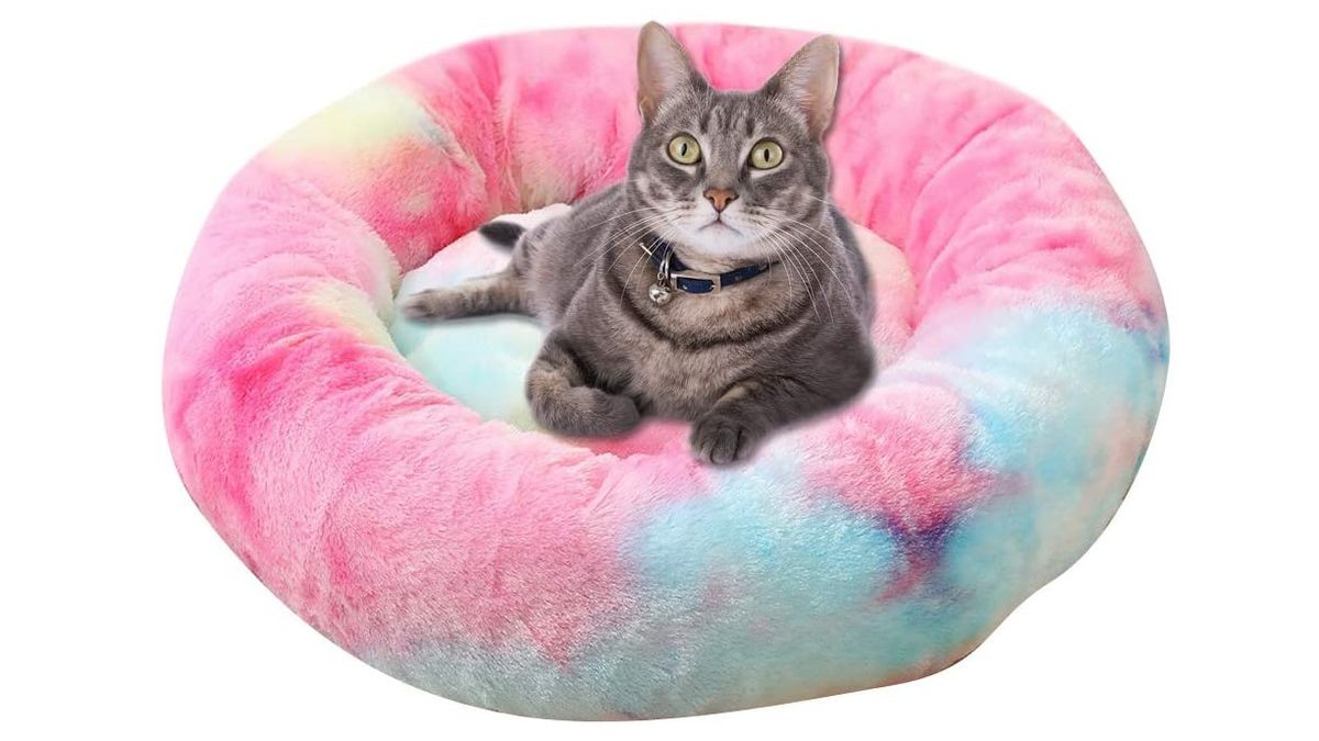 Best cat sofa Six places for your kitty to sit pretty PetsRadar