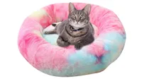 cat sofa