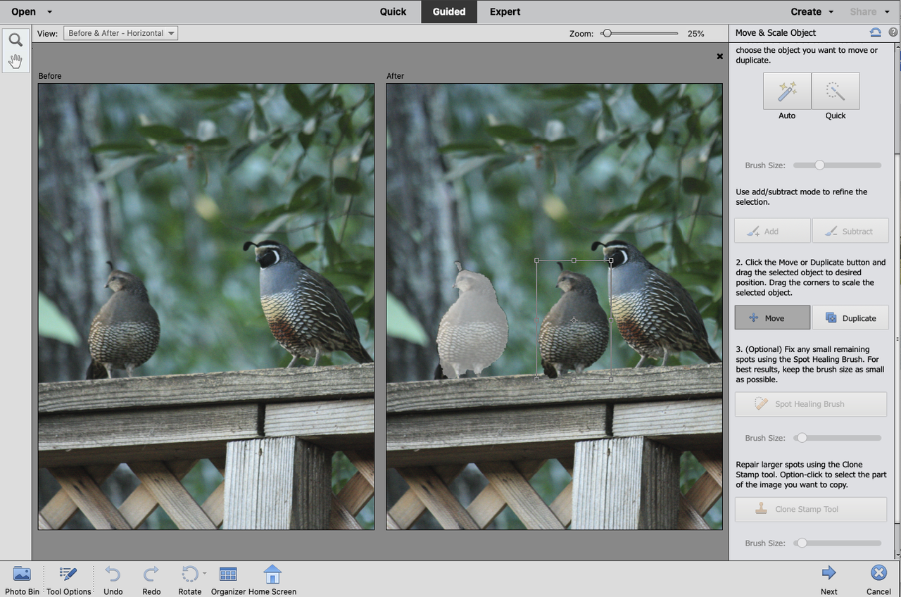 Adobe Photoshop Elements 2021 review