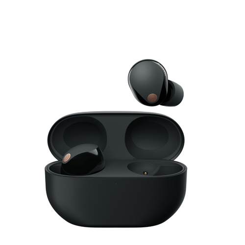In-Ear True Wireless Earbuds