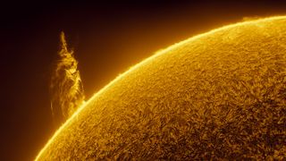 A solar prominence rises from the swirling surface of the sun.