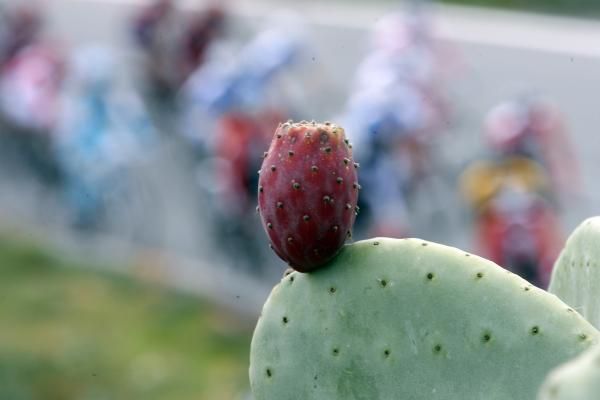 Springtime in Sardinia as the gruppo cranks back into action.