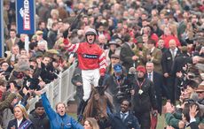 Cheltenham Festival on TV