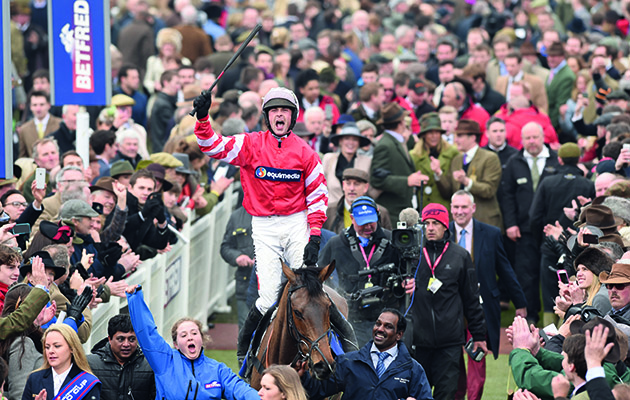 Cheltenham Festival on TV